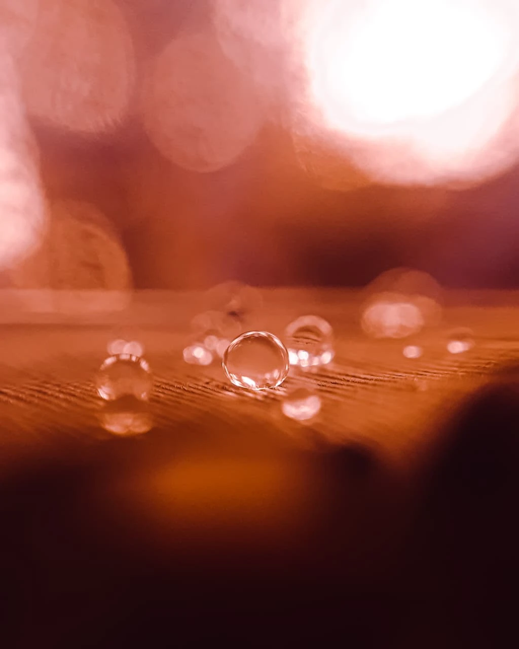 Bokeh weather