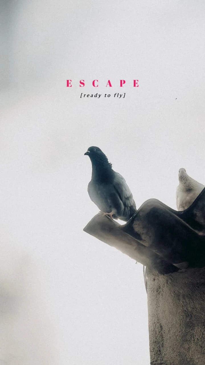 Escape